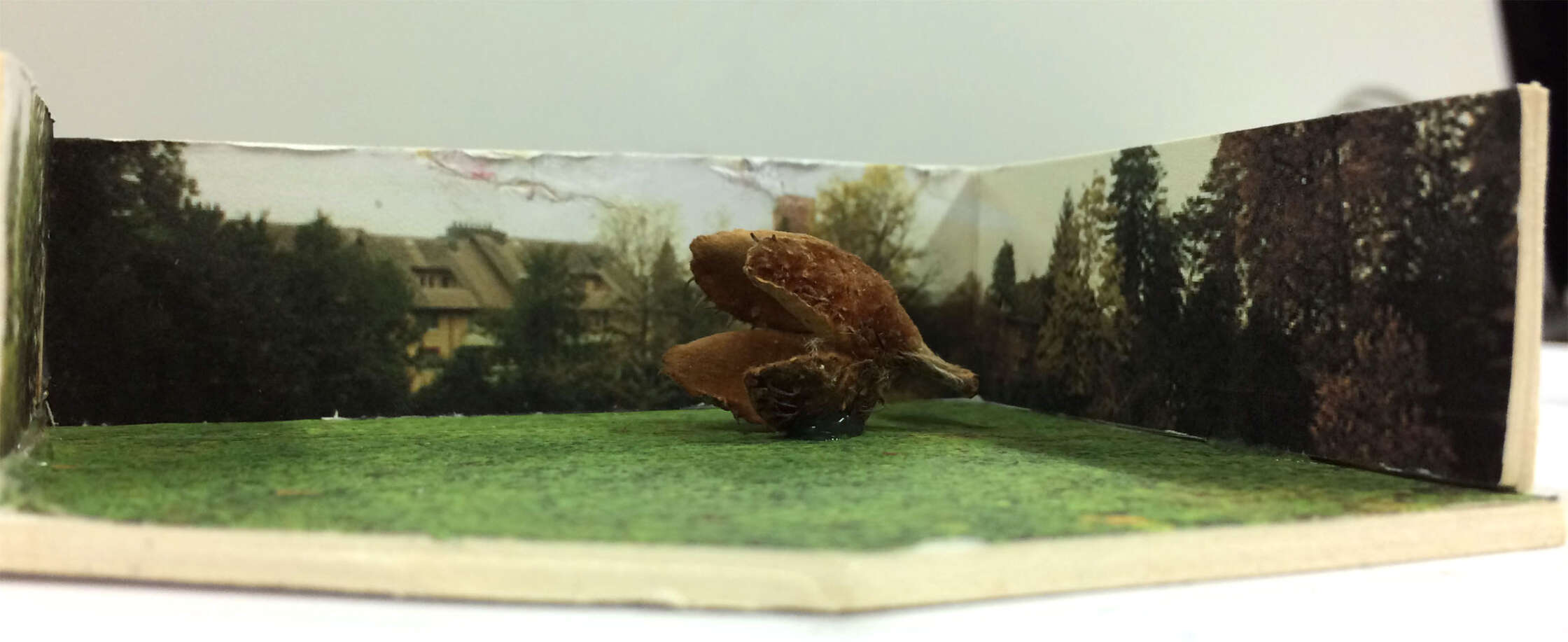 V106 Matthias Krattenmacher