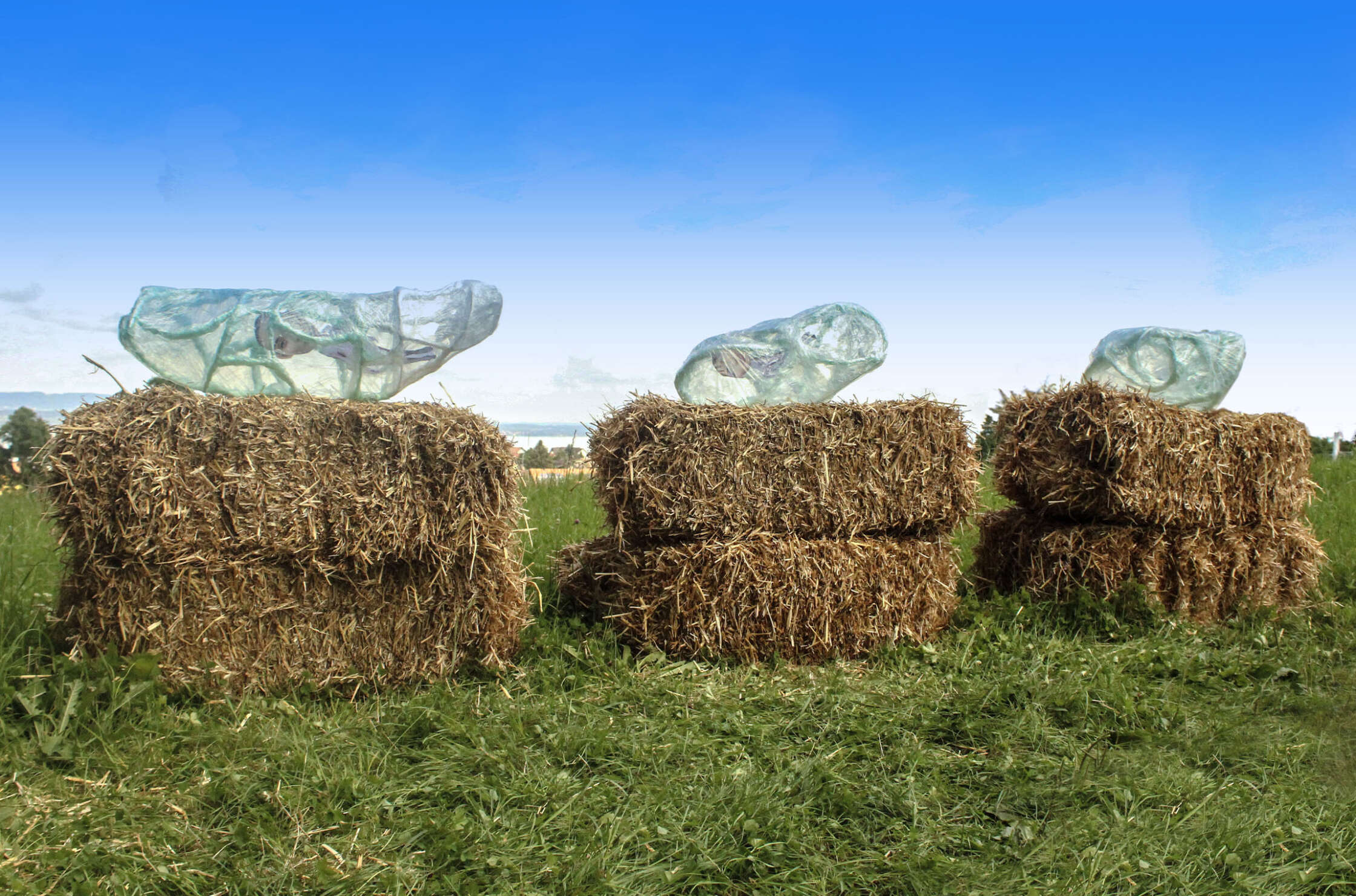 V127 Matthias Krattenmacher