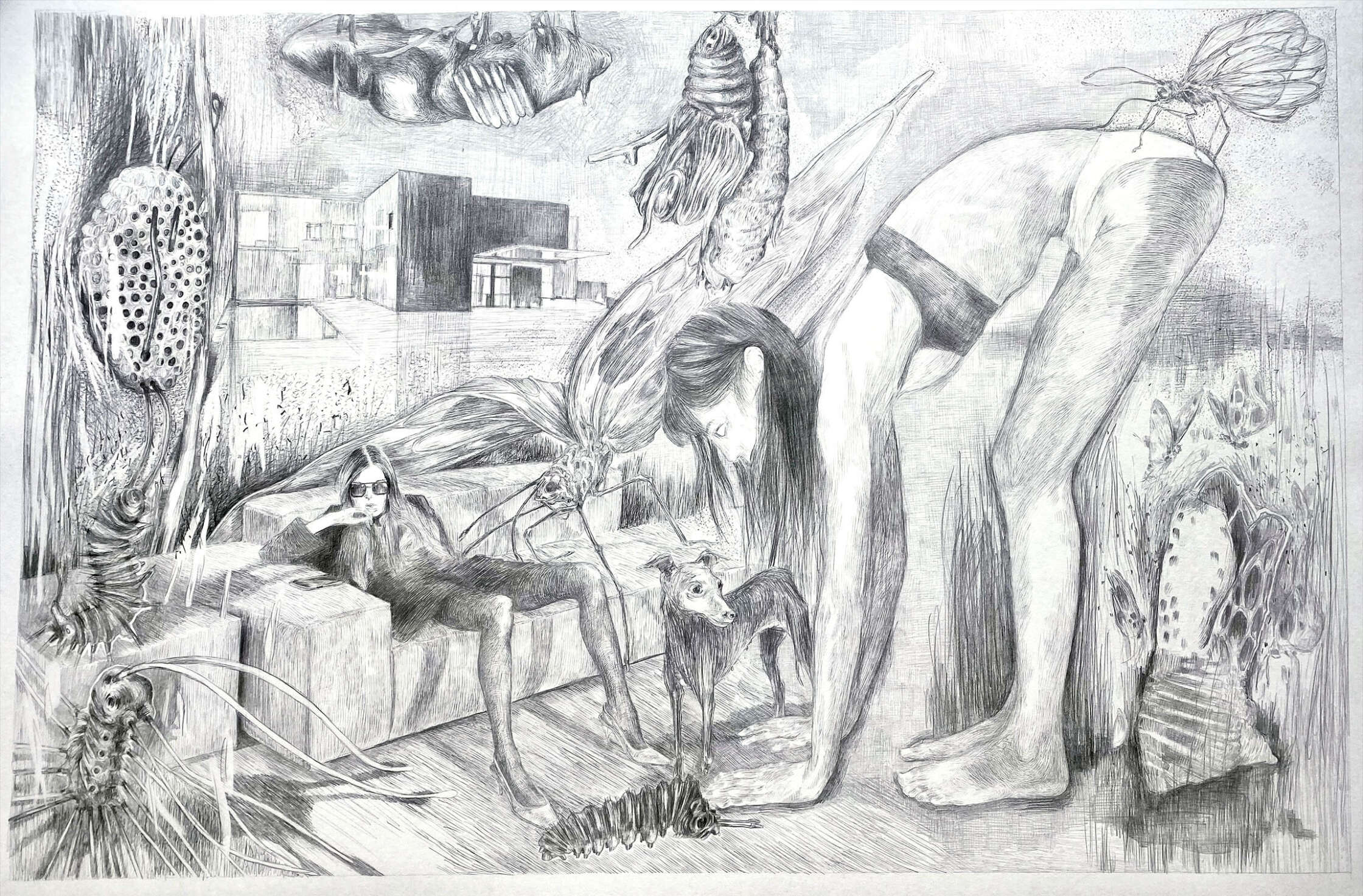 V185 Matthias Krattenmacher