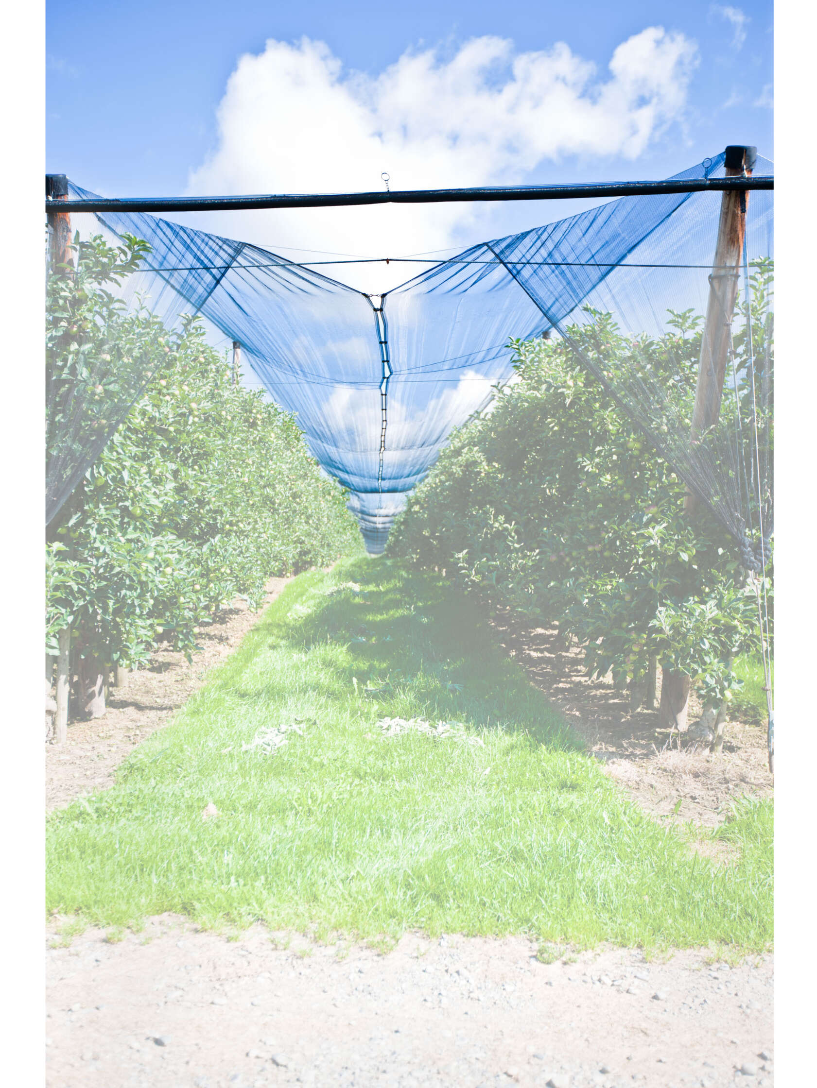 V71 Matthias Krattenmacher